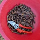 김충현농장 이미지