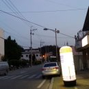 조신한돼지 네이버블로그