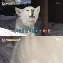 치우농장 이미지