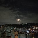 신양메드