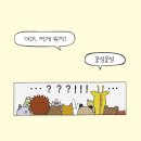 별별케이크