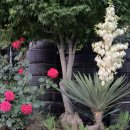 제이제이모텔 이미지