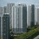 아이윌24시동물병원 이미지