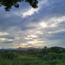 아라 일출 이미지