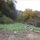 백둔리보건진료소 이미지