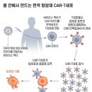 사이언스카페] 살아있는 항암제 카티, 몸 안에서 만든다…10년 뒤 256조 시장 전망 이미지