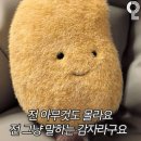 2024년 상반기 뮤직아카데미 | 삼성청년SW·AI아카데미(SSAFY) 13기 후기(1)