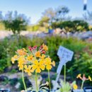 혜성펜션 이미지