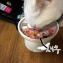 별똥PC 이미지