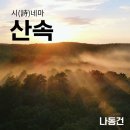정화양발