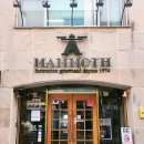 성서 문화의거리상점가 | T.안동 아이와 갈만한곳-맘모스베이커리, 안동문화의거리, 안동시장