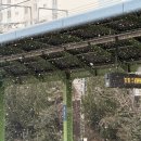 백양종합사회복지관 이미지