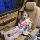 아이러브카직영점 | 러브키즈 안전벨트연장클립 사용 후기