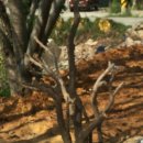 오성공업사 이미지