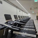 올 마이트 짐 이미지