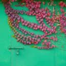 가창면사무소 이미지