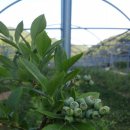 산여울농장 이미지