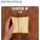 어중간 이미지
