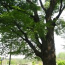 어상천우체국 이미지