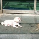 만호주유소 이미지