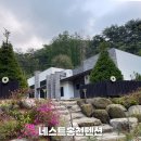 홍천펜션 네스트홍천 후기 강원도 가족펜션, 단체 숙소 추천