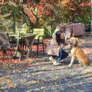 별숲 | 별보기 캠핑장 대구 바람숲캠핑장 별 보기 좋은 팔공산 캠핑 후기
