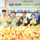 양파 - 구로구 구로동로 163 | 양파