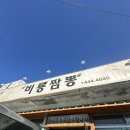 야은로-19 이미지