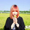 달콤한봄날 이미지