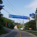 꾸지나무골해수욕장번영회 네이버블로그