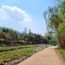 분당-228 이미지