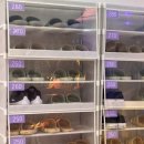 B612 | 안산 방탈출 카페 꿈소풍 안산 2호점 :: 어린왕자 B612 내돈내산 후기 (예약/주차/할인/난이도)