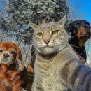 수안보족욕길 이미지