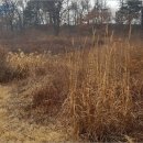 덕도1리마을회관 이미지