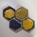 댕마싯개 이미지