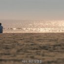 청춘 네이버블로그