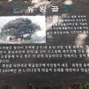 유왕골약수 네이버블로그