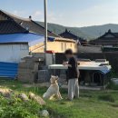 뉴제니스뮤직타운 | 💙파랑나라를 보았니~6월💙