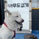 뽀송하개 네이버블로그