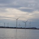 탐라태양광발전소 이미지