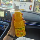 뉴무지개펜션 | 우와아~ 바다다~🌊(feat. 3박 4일 제주여행)