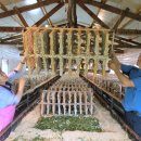 태양농장 이미지