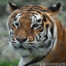 서울오라클치과교정과치과의원 | 인천치과 서울클리어치과교정과치과의원 전문가와의 상담으로 해결