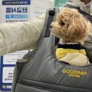 장재영외과동물병원 이미지