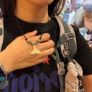 시청 건너 버스정류장 | 2026.03.17 오키나와 여행 4일차, 츄라우미 수족관 고래상어 만나고오기🐠🪸🦈