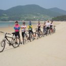 남해편백자연휴양림(남해) 이미지