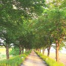 광의사거리 이미지