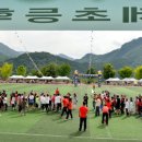 인제초등학교 Daum카페