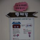 원주곤충마을박물관 이미지