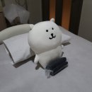 다온왁싱 이미지